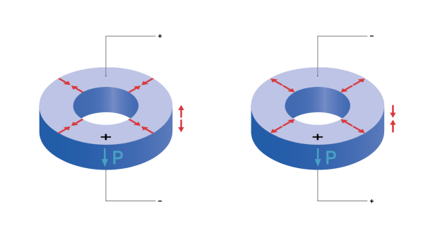 Standard rings: Axial and radial displacement due to the longitudinal and transversal effect
