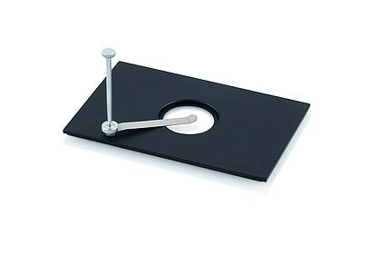 用于培养皿的插入式支架